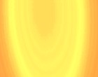 vitus hochbegabt